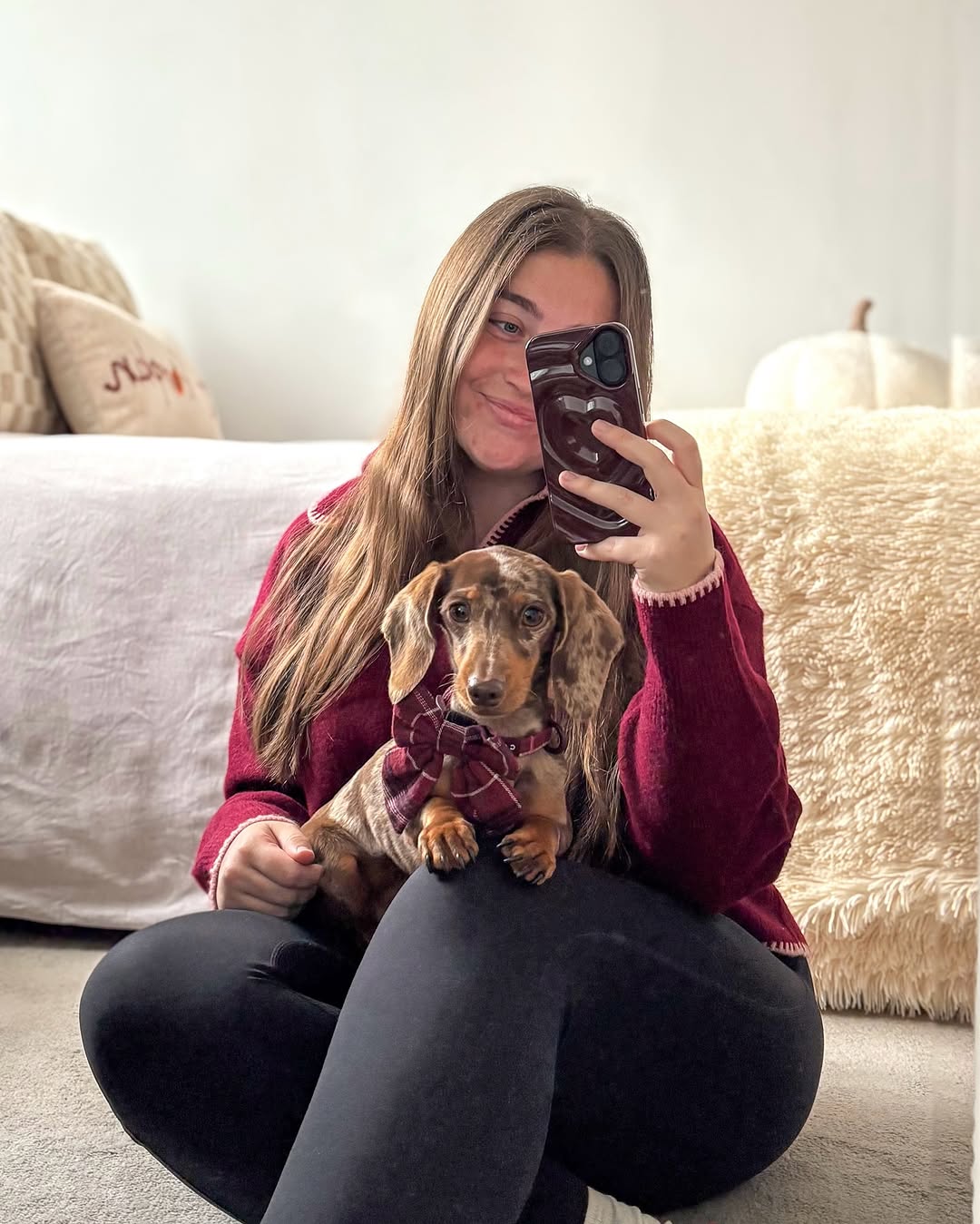 Happy dachshund family