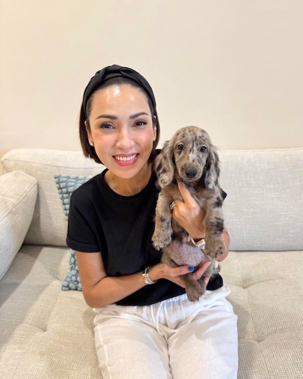 Happy dachshund family