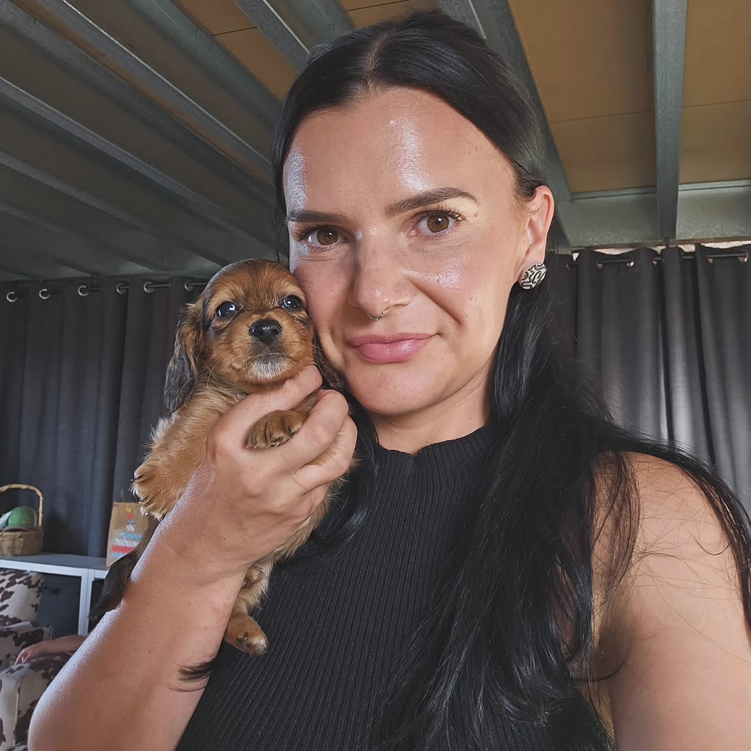 Happy dachshund family